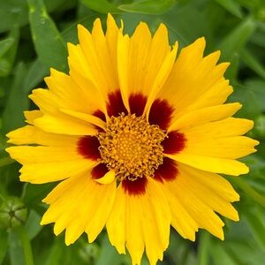 Thank you for sharing